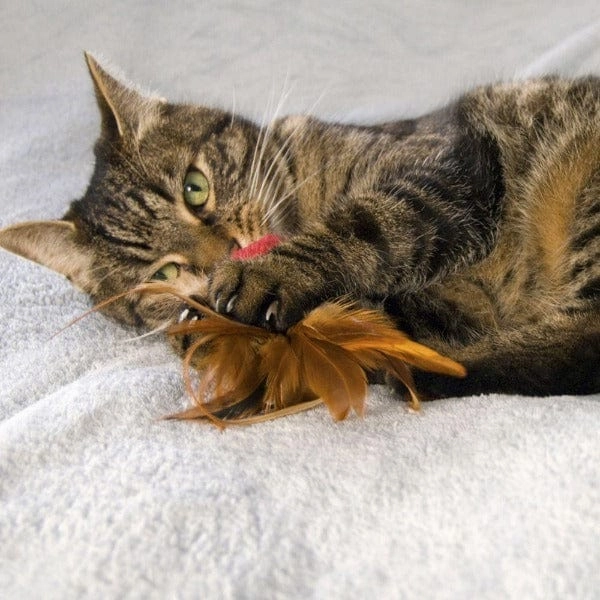 KONG Naturals Crinkle Ball w/Feathers Cat Toy