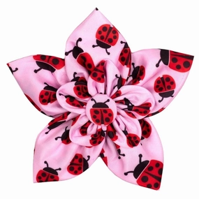 Ladybugs Dog Collar Flower dog collar accessory,collar decor