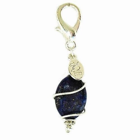 Lapis Lazuli Healing Dog Collar Charm Pawmulet dog collar charm,pet tag