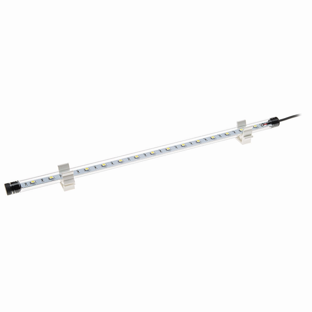 LED