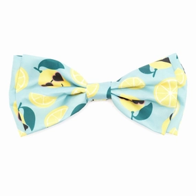 Lemons Dog Bow Tie dog collar accessory,collar decor