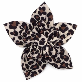 Leopard Dog Collar Flower Tan dog collar accessory,collar decor