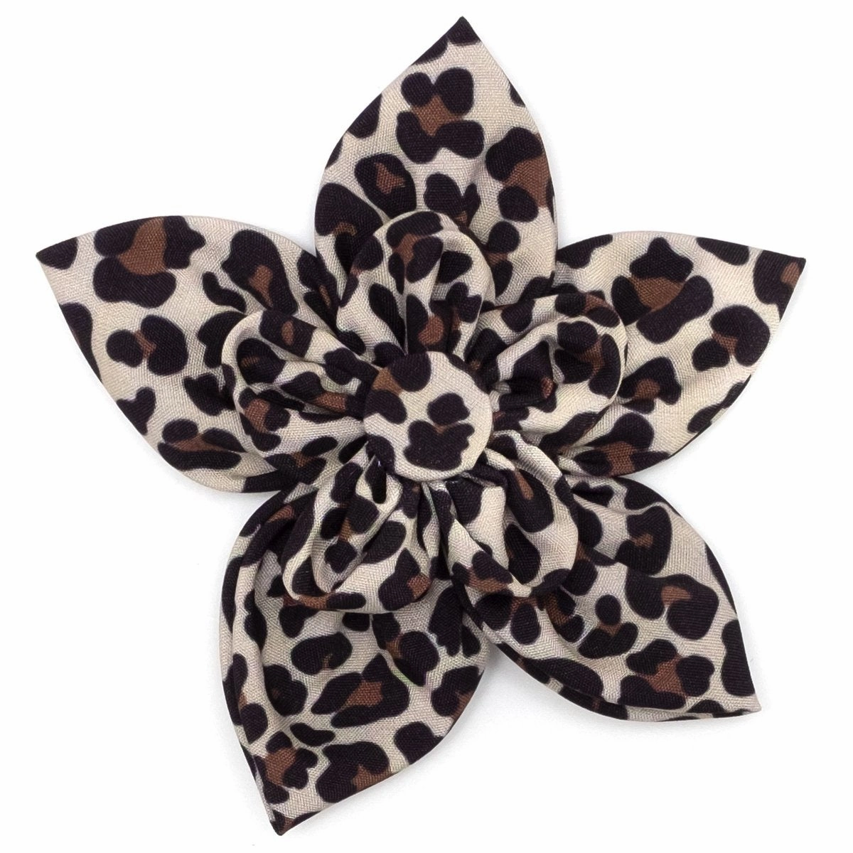 Leopard Dog Collar Flower Tan dog collar accessory,collar decor