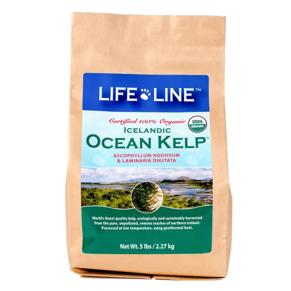 Life Line Icelandic Ocean Kelp