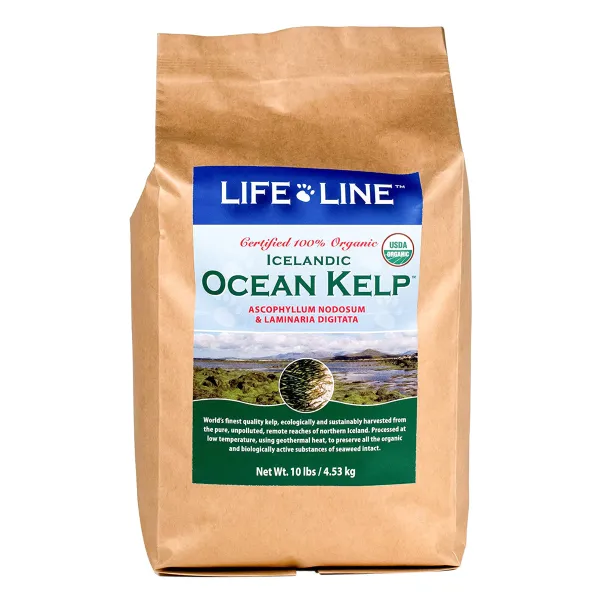 Life Line Icelandic Ocean Kelp