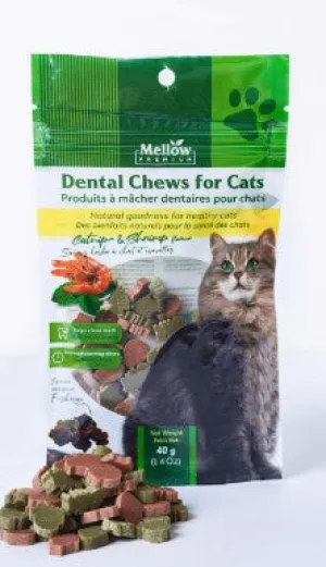 Mellow Premium Dental Treats Shrimp With Catnip (CATS) 40g adult cat food, best cat food for adults