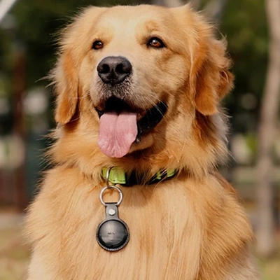 Mitag Go Anti Loss Device with Keychain for Dogs and Cats (Brown) | Android