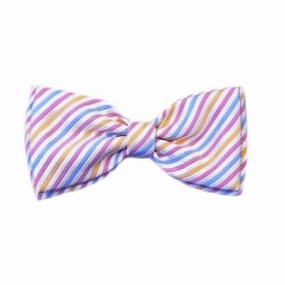 Morgan Dog Bow Tie Slider dog collar accessory,collar decor