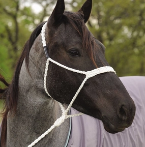 Mule Tape Halter, White bird pet,aviary product