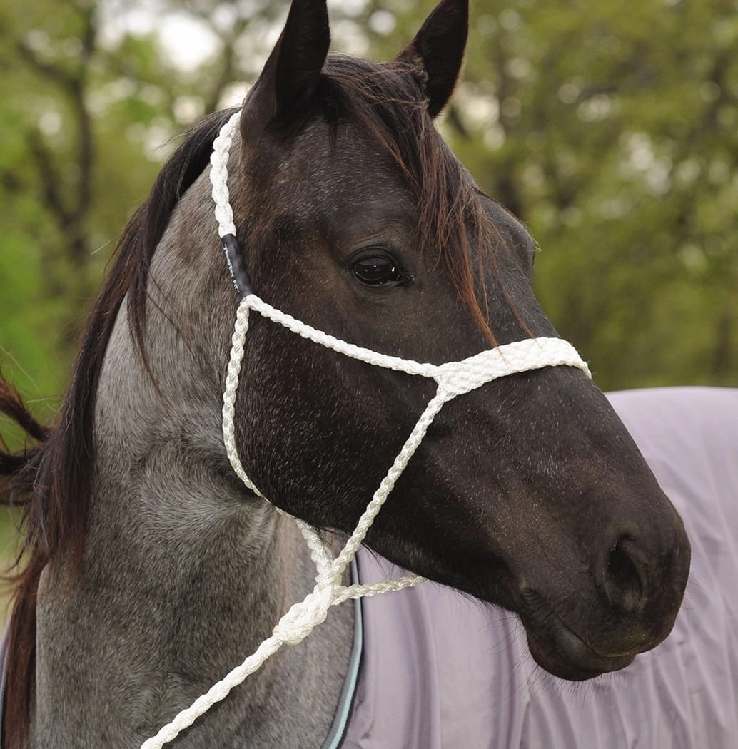 Mule Tape Halter, White bird pet,aviary product