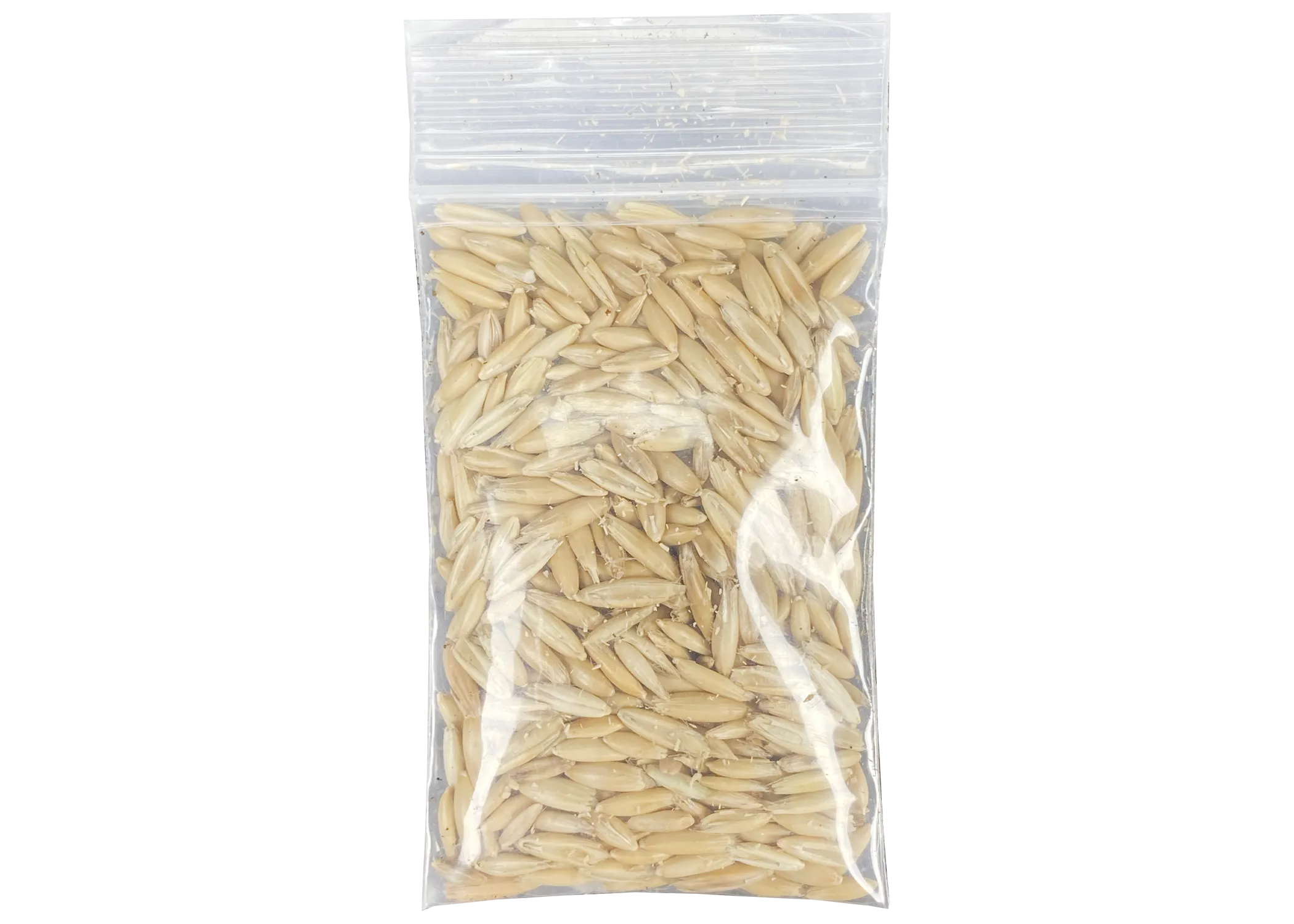 Multipet Catnip Garden Cat Grass Treat Kit for Cats
