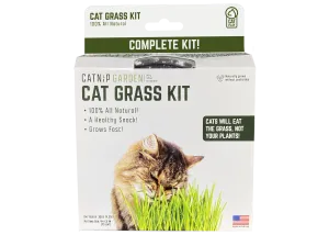 Multipet Catnip Garden Cat Grass Treat Kit for Cats cat treats, soft cat treats
