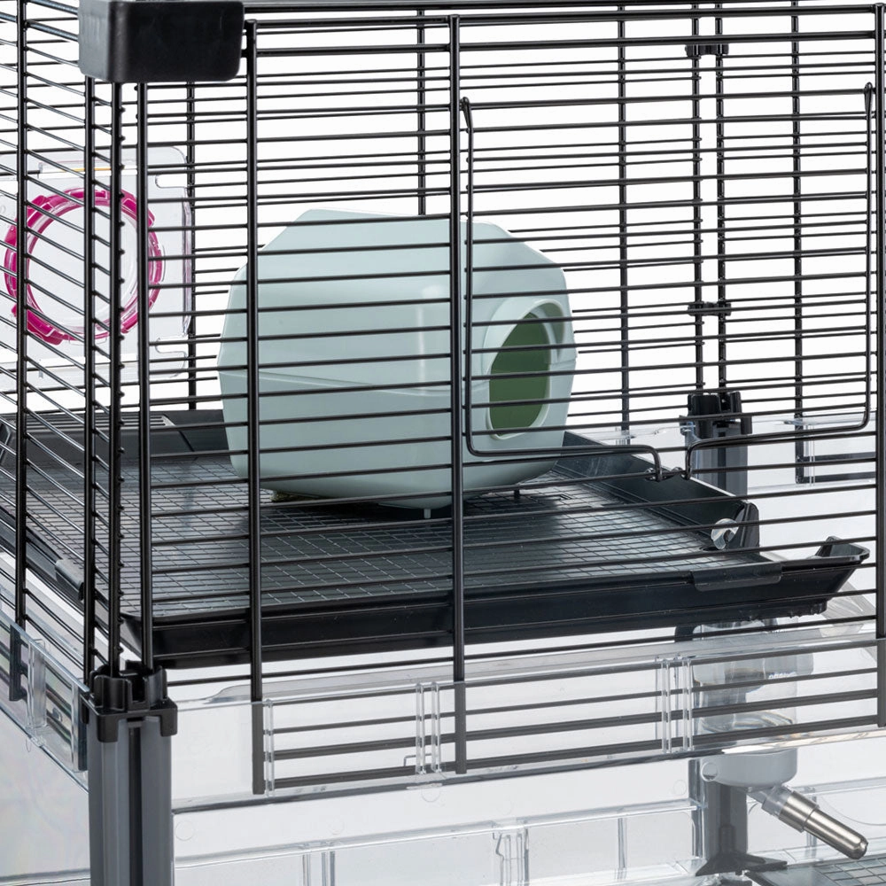 MULTIPLA HAMSTER CRYSTAL