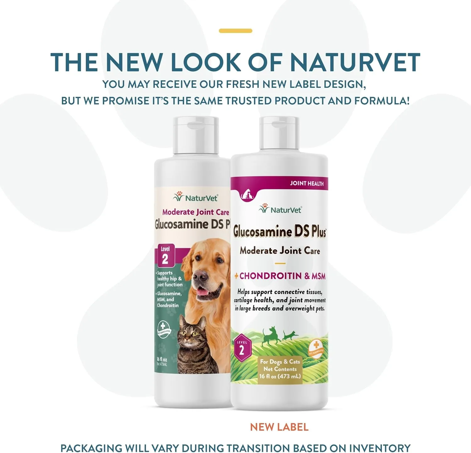 NaturVet Glucosamine DS Plus Liquid Level 2 cat vitamins, cat immune support