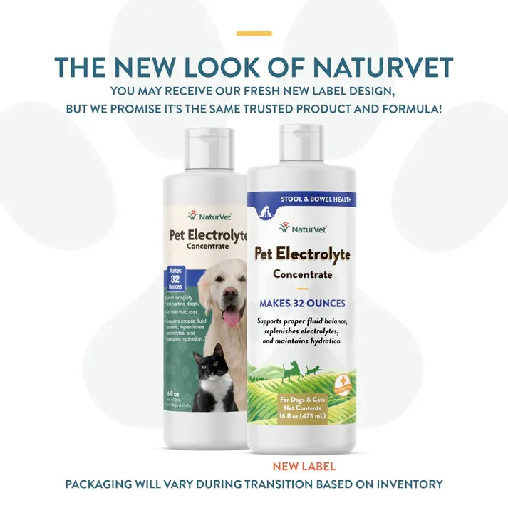 NaturVet Pet Electrolyte Concentrate 16oz cat vitamins, cat immune support