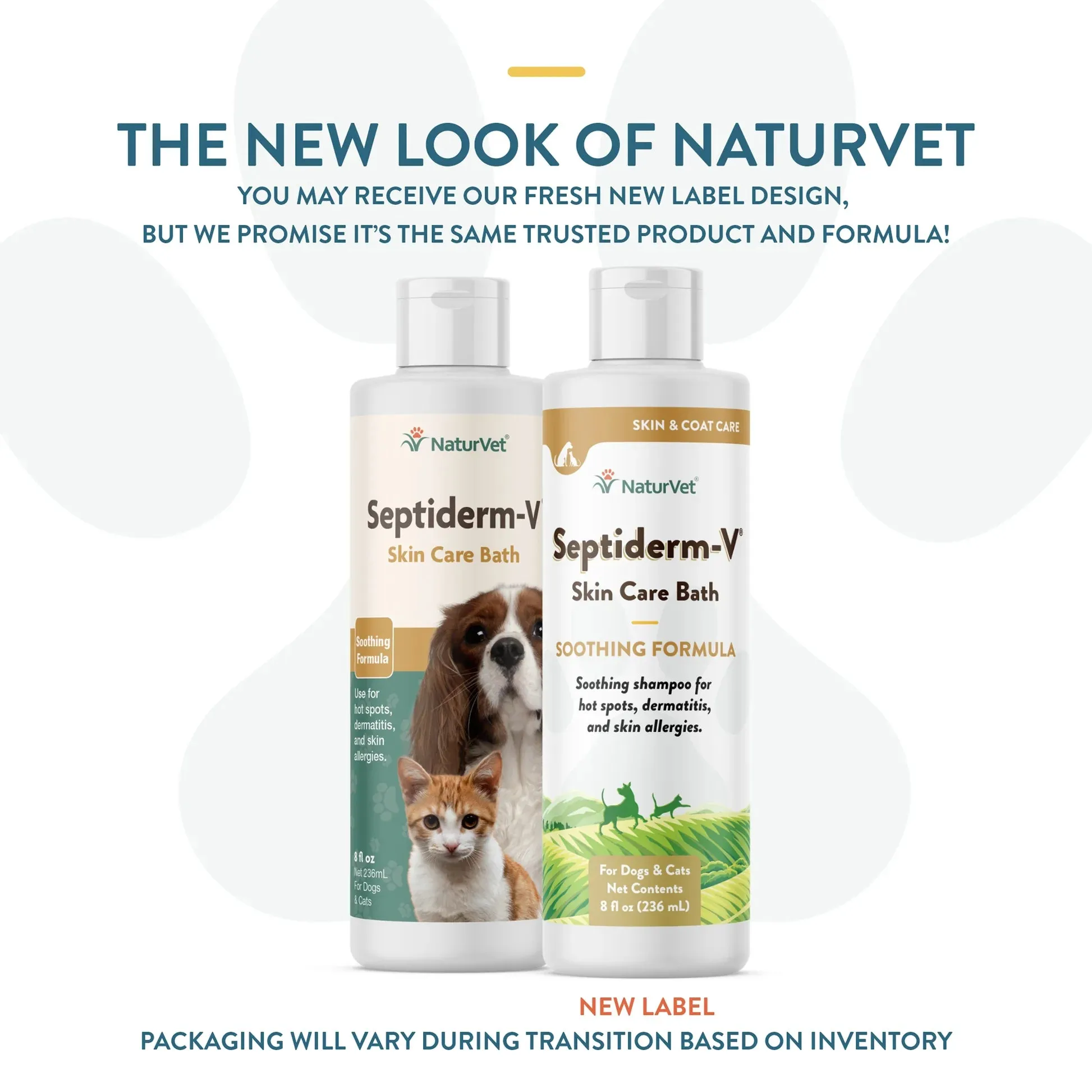 NaturVet Septiderm-V Skin Care Bath cat vitamins, cat immune support