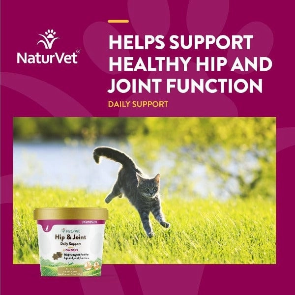 NaturVet Hip & Joint with Omegas Soft Chews For Cats
