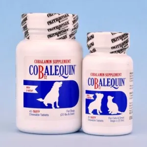 Nutramax Cobalequin Chewable Tablet Small Dog & Cat Supplement, 45 count cat vitamins, cat immune support