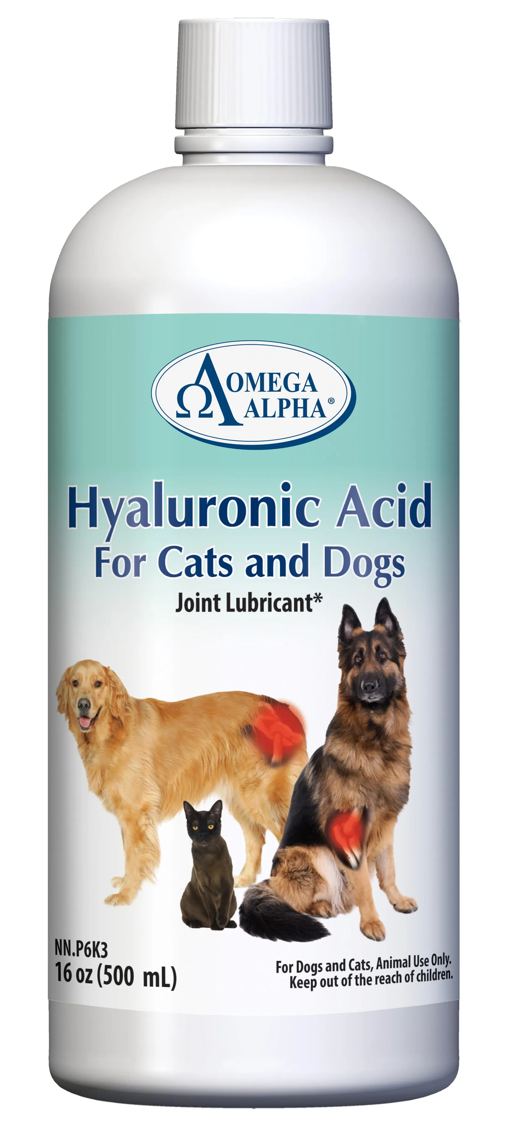 Omega Alpha Hyaluronic Acid Liquid Supplement for Dogs and Cats cat vitamins, cat immune support