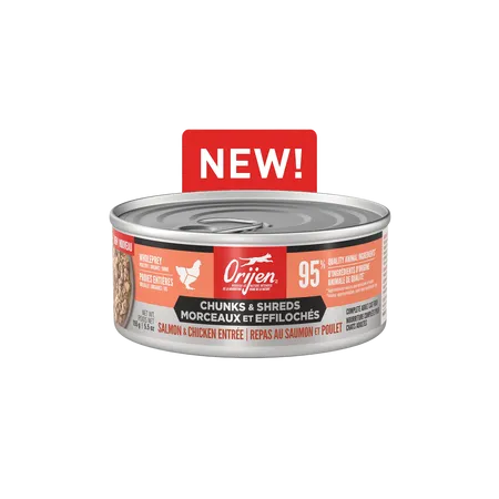 Orijen Cat Chunks & Shreds, Salmon & Chicken Entre adult cat food, best cat food for adults