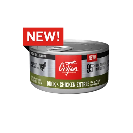 Orijen Duck & Chicken Recipe Canned Cat Food wet cat food, canned cat food