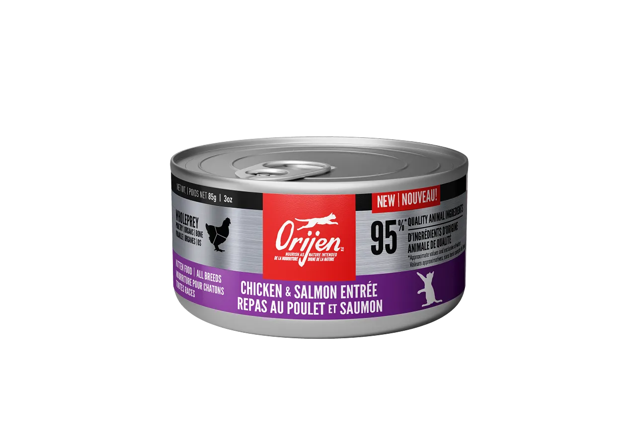 Orijen Kitten Chicken & Salmon Entree 85g dry cat food, cat kibble