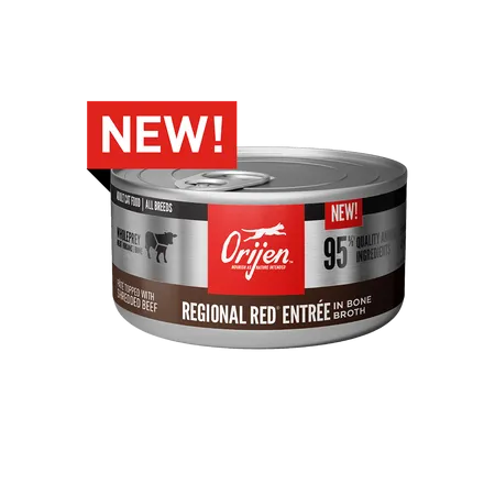 Orijen Regional Red Recipe Canned Cat Food wet cat food, canned cat food