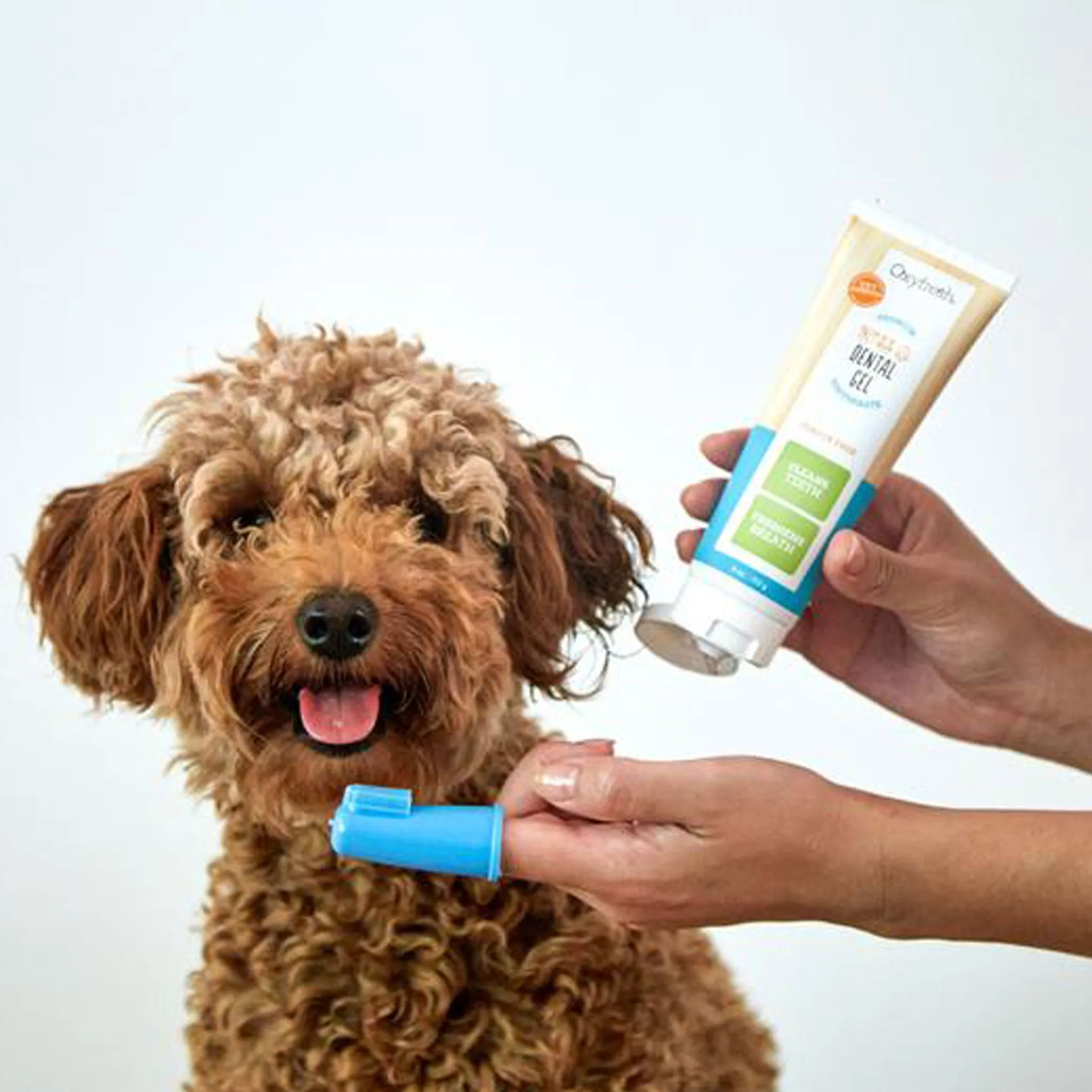 Oxyfresh Pet Toothpaste Finger Brush Kit Oxygene Dog Grooming