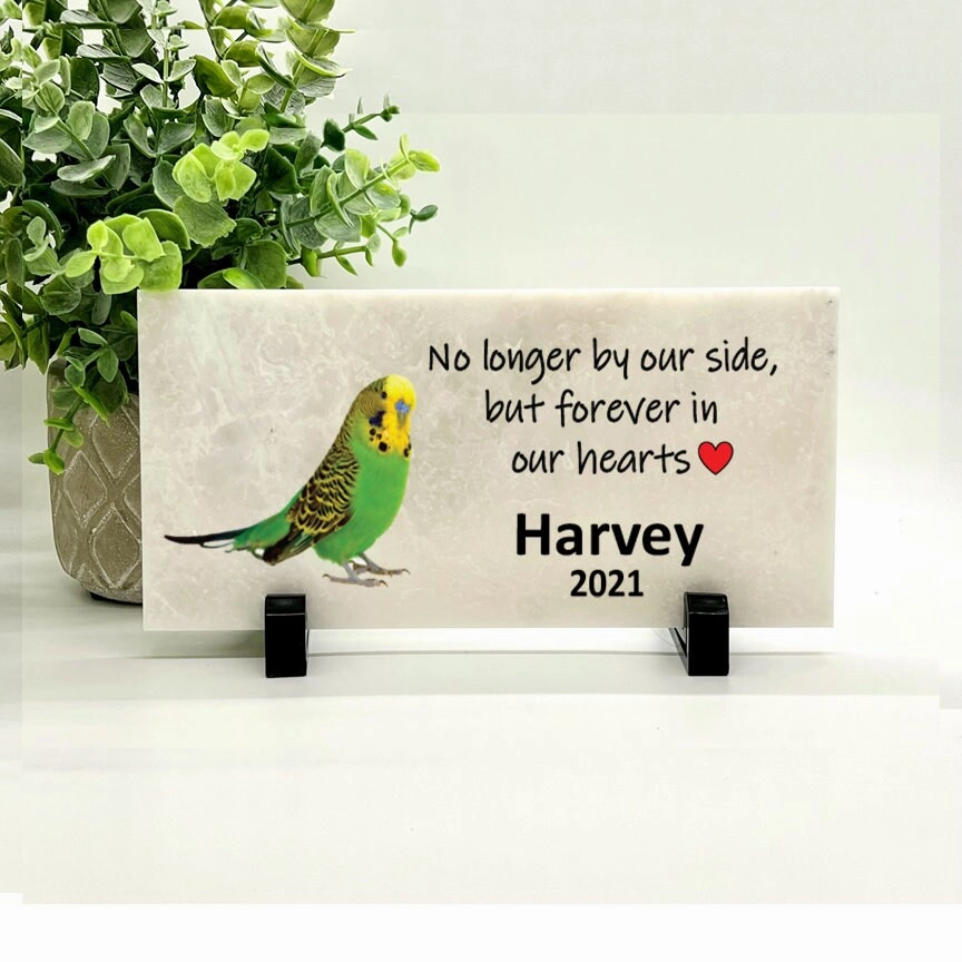 Parakeet Memorial Stone - Green Parakeet Memorial