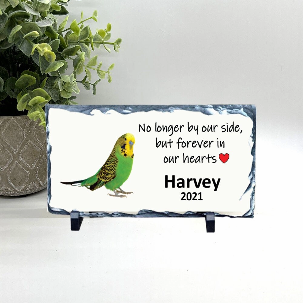 Parakeet Memorial Stone - Green Parakeet Memorial