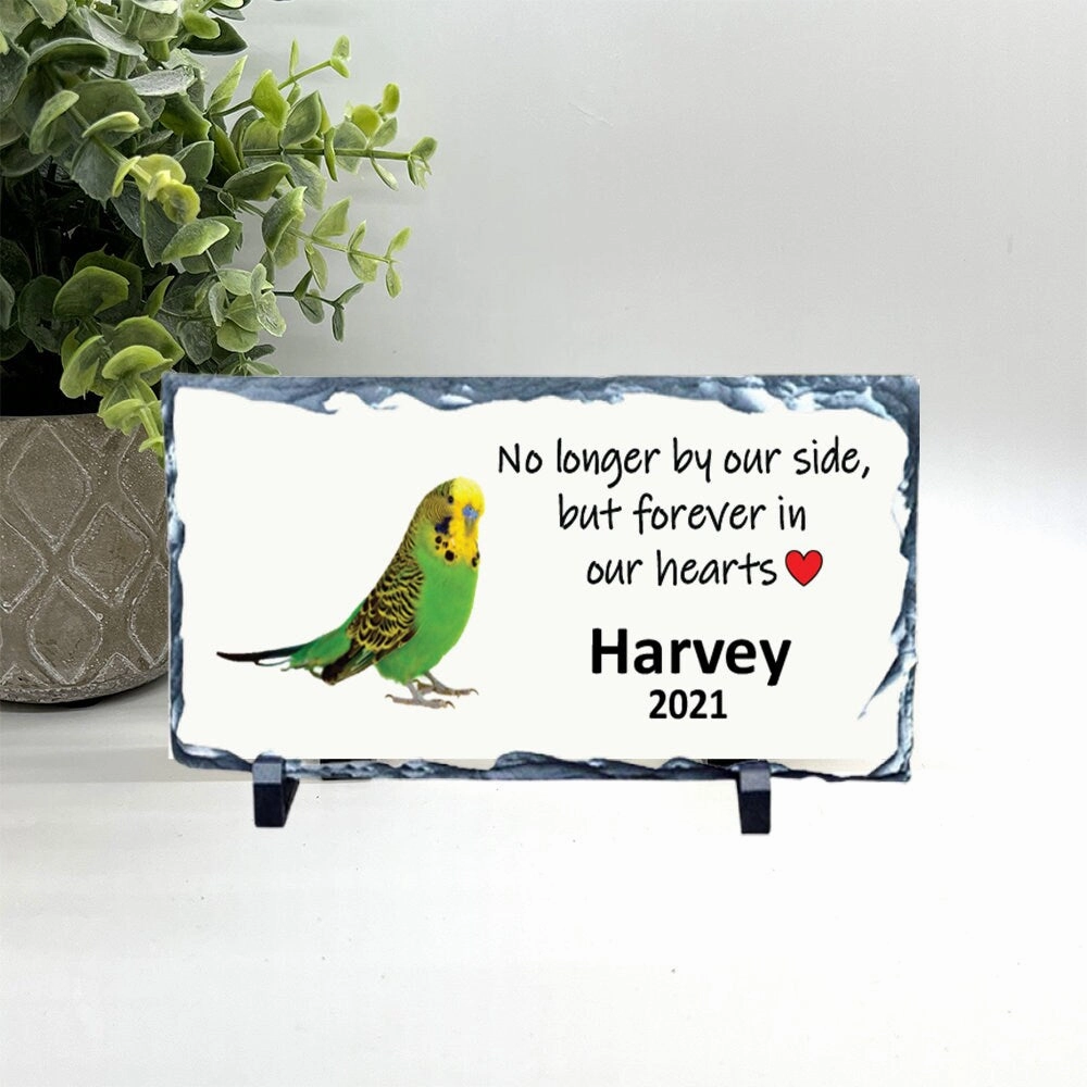 Parakeet Memorial Stone - Green Parakeet Memorial