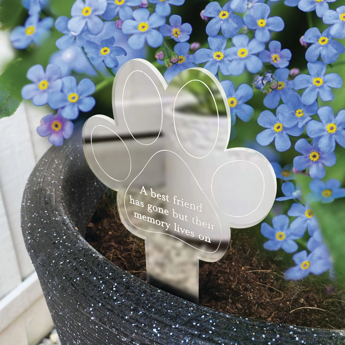 Paw Print Memorial Garden Plant Marker & Forget Me Not Seeds poultry halters,bird leash