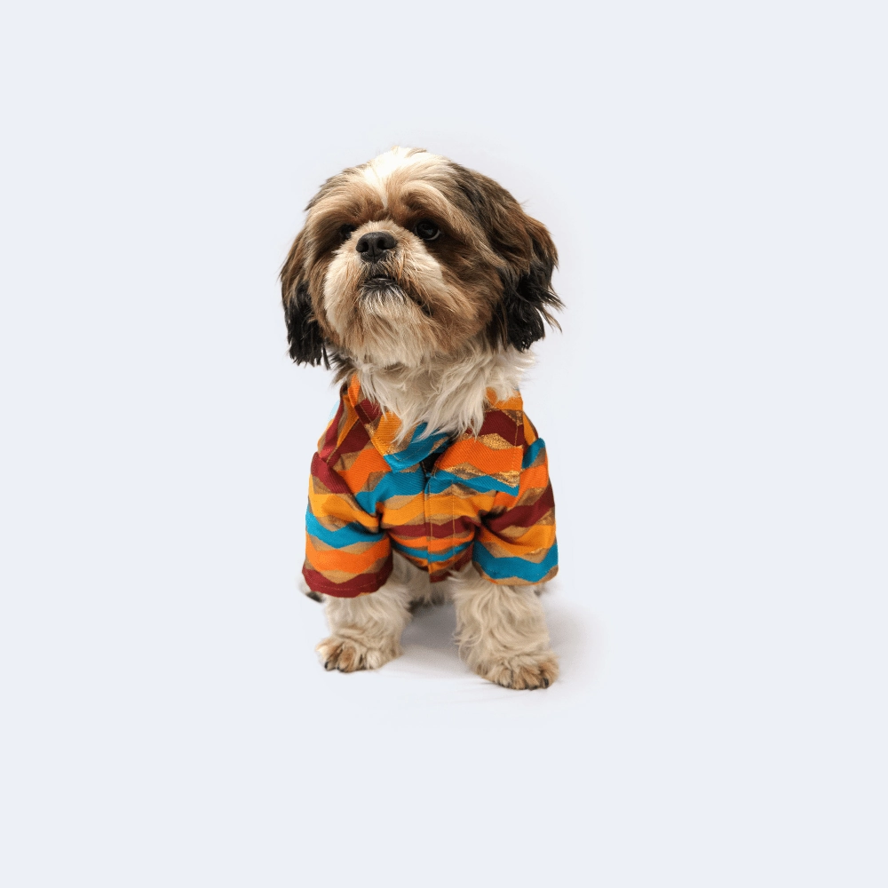 Pawgypets Occasion Wear Shirt for Dogs and Cats (Multi Stripe)