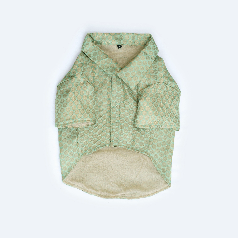 Pawgypets Occasion Wear Shirt for Dogs and Cats (Pista Green)