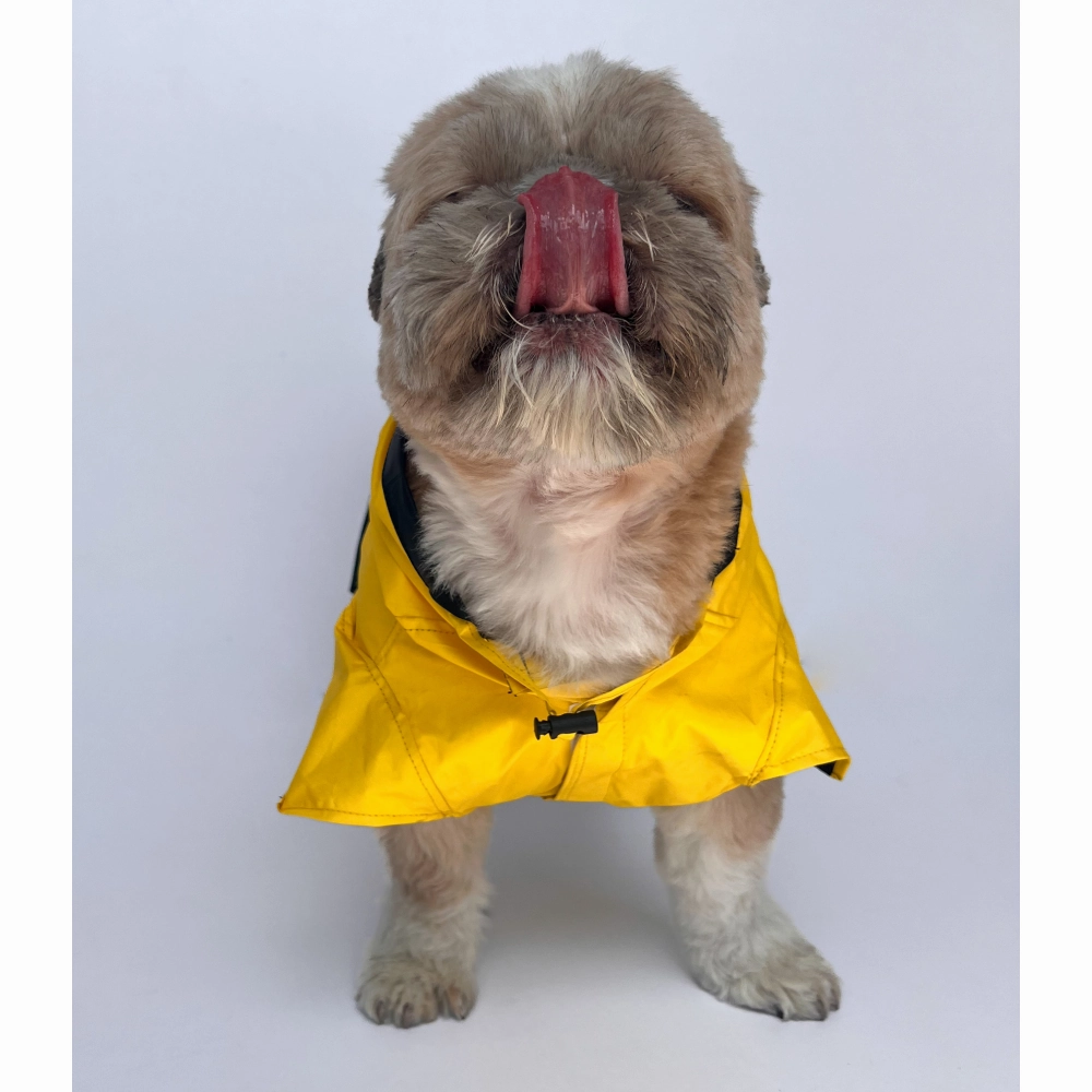 Pawgypets Raincoat for Dogs and Cats (Yellow Taxi)