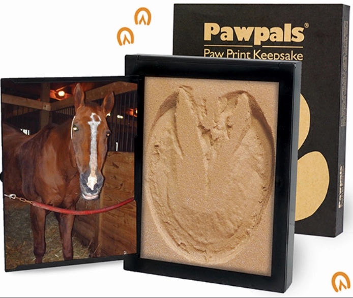 Pawprint Kit - Two Sizes