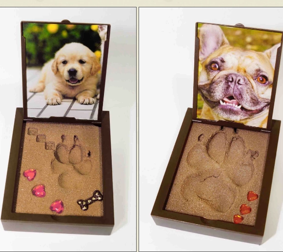 Pawprint Kit - Two Sizes