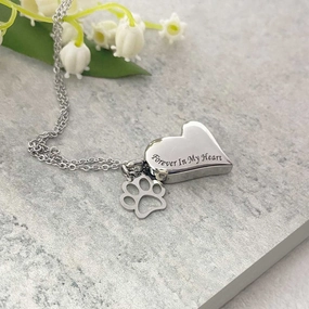 Paws Forever In My Heart Cremation Ashes Memorial Urn Necklace poultry halters,bird leash