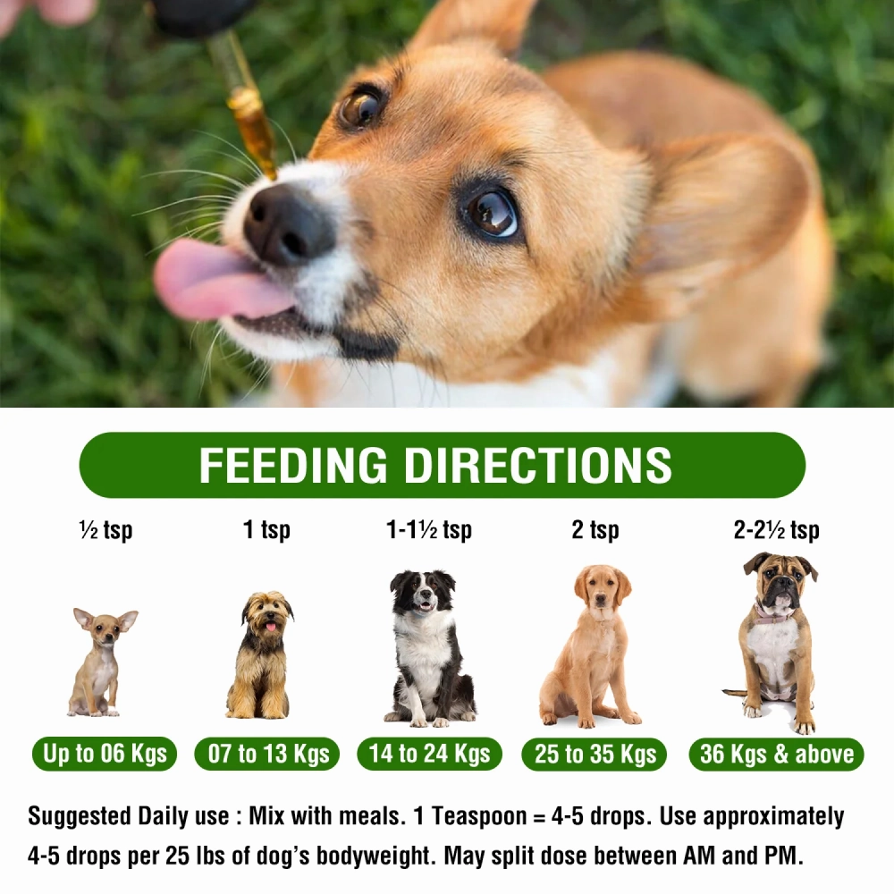 Pawsindia Calm Hemp Seed Oil for Dogs and Cats