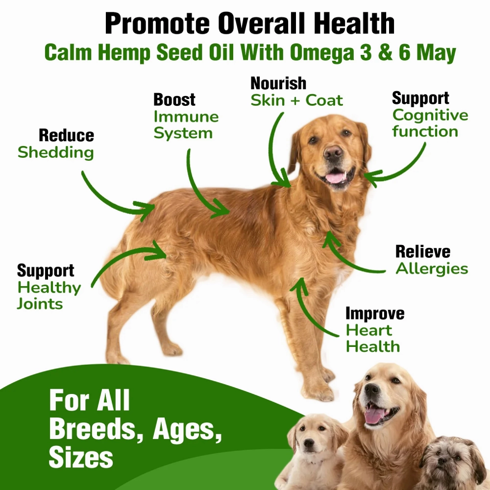 Pawsindia Calm Hemp Seed Oil for Dogs and Cats