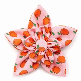 Peachy Keen Dog Collar Flower dog collar accessory,collar decor