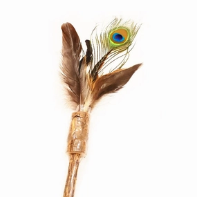 Peacock F on Silver Vine interactive cat toys,cat play toys