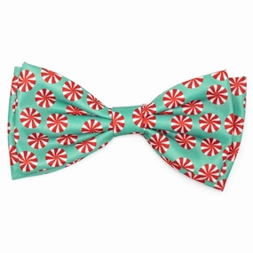 Peppermints Dog Bow Tie dog collar accessory,collar decor