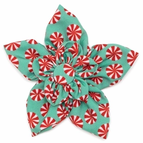 Peppermints Dog Collar Flower dog collar accessory,collar decor
