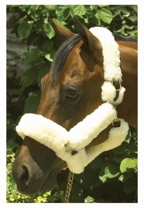 Perri's Genuine Sheepskin Shipping Halter, Havana/Natural bird pet,aviary product