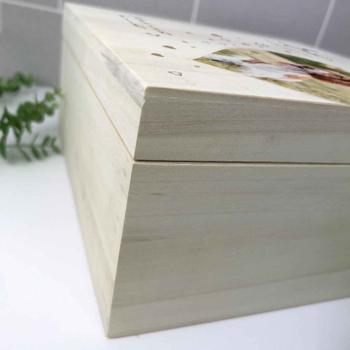 Personalised 28cm Square Luxury Wooden Pet Memorial Photo Memory Box
