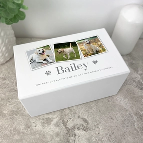 Personalised Any Message Three Photo Large Cremation Urn For Pets Ashes | 1.44 Litres poultry halters,bird leash