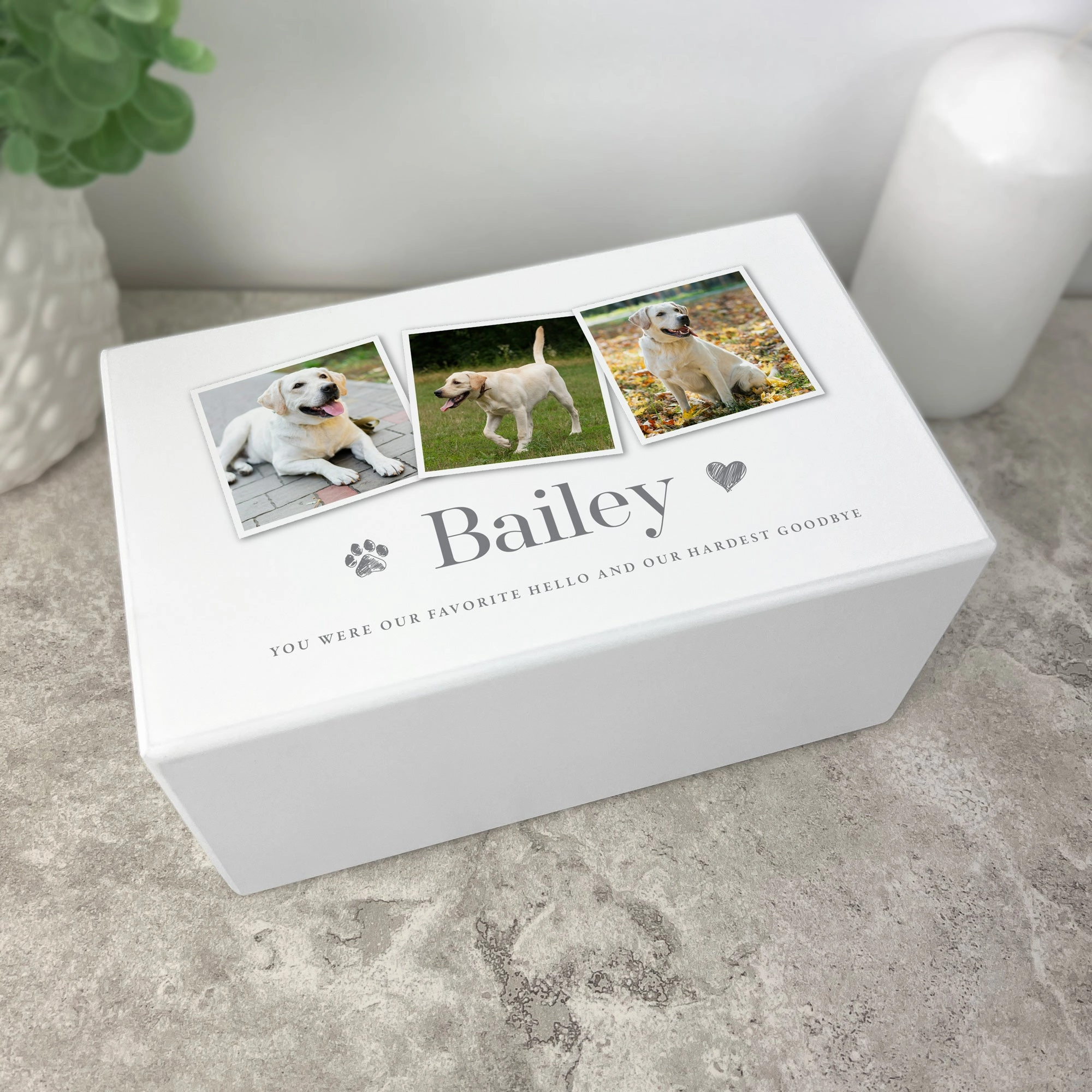 Personalised Any Message Three Photo Large Cremation Urn For Pets Ashes | 1.44 Litres poultry halters,bird leash