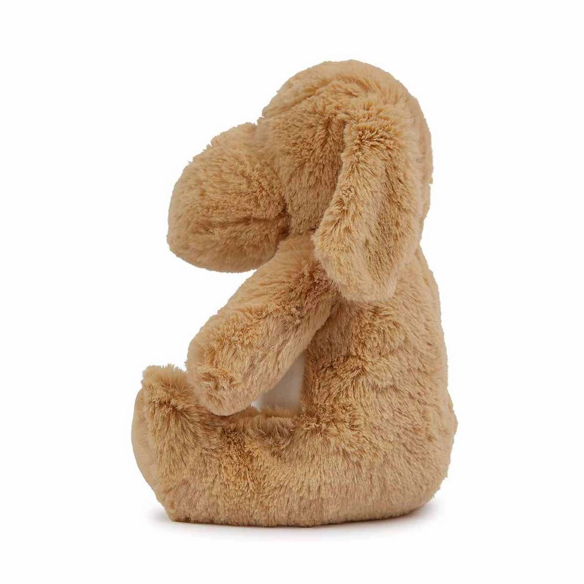 Personalised Brown Dog