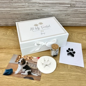 Personalised Complete Puppy/Kitten Keepsake Kit poultry halters,bird leash